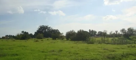 Land in Montijo, Portugal No. 43575 3