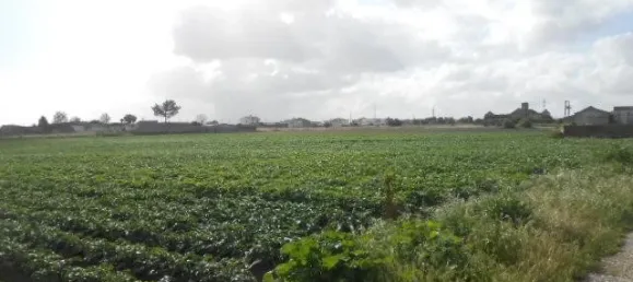 Land in Montijo, Portugal No. 43575 2