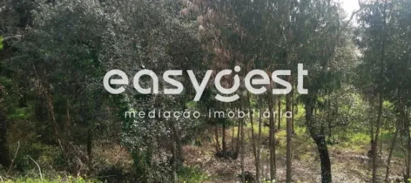 Grundstück in Coimbra, Portugal, Nr. 91332 3