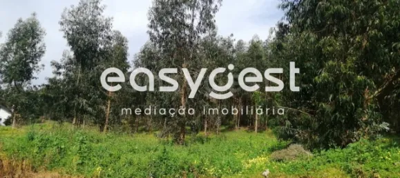 Grundstück in Coimbra, Portugal, Nr. 91332 16