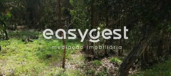 Grundstück in Coimbra, Portugal, Nr. 91332 6