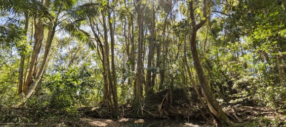 4 غرف نوم منزل في Crystal Creek, Australia رقم 414 15