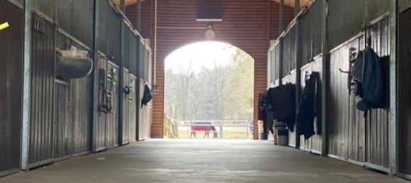 4-Zimmer Bauernhof in Oberhavel, Germany, Nr. 296818 4