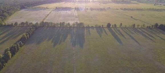 4-Zimmer Bauernhof in Oberhavel, Germany, Nr. 296818 19