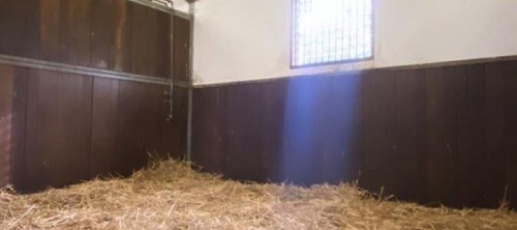 4-Zimmer Bauernhof in Oberhavel, Germany, Nr. 296818 5