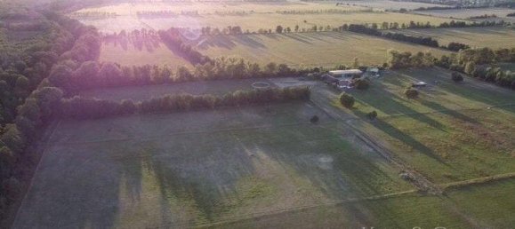 4-Zimmer Bauernhof in Oberhavel, Germany, Nr. 296818 8