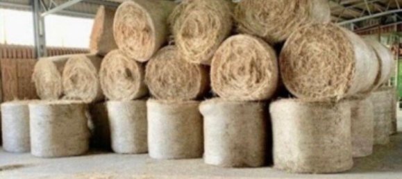 4-Zimmer Bauernhof in Oberhavel, Germany, Nr. 296818 7