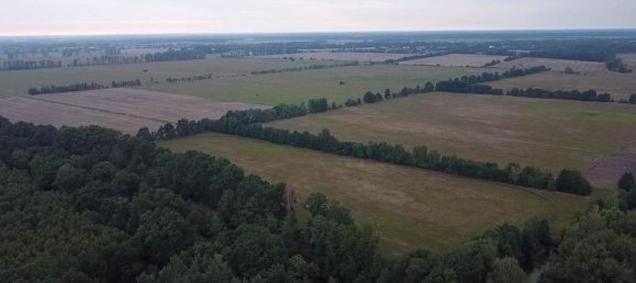 4-Zimmer Bauernhof in Oberhavel, Germany, Nr. 296818 17