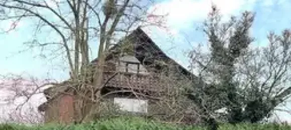 Таунхаус с 9 комнатами в Шаумбург, Германия № 125455 5