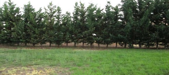 Коммерческая недвижимость с 10 спальнями в Полийирос, Греция № 7000 7