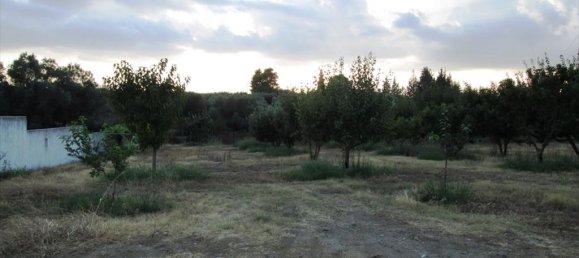 Коммерческая недвижимость с 10 спальнями в Полийирос, Греция № 7000 30