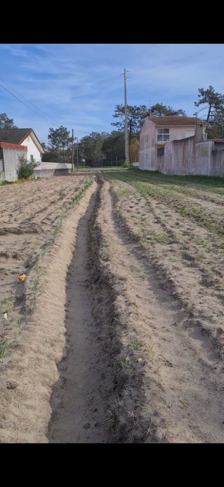 Terrain à Gafanha da Encarnacao, Portugal No. 305556
