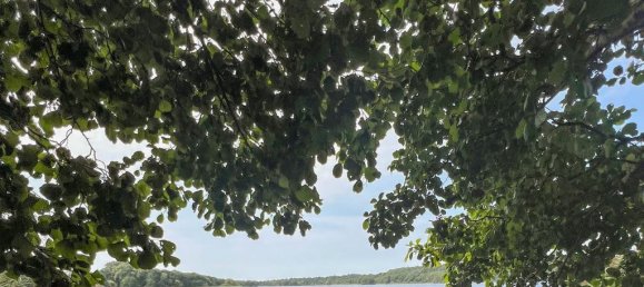 7 rooms House in Schleswig-Holstein, Germany No. 28268 17