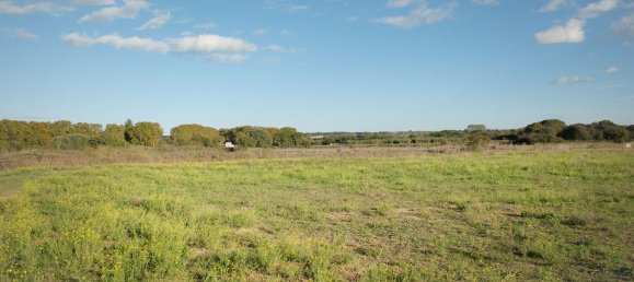 435m² Land in Le Cailar, France No. 100661 3