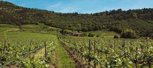 2 غرف نوم شقة في Rovato, Italy رقم 262375 8