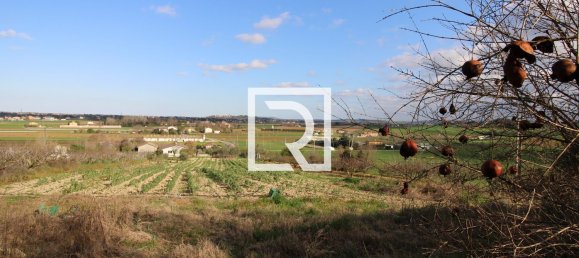 290m² Warehouse in Savignano sul Rubicone, Italy No. 220142 21