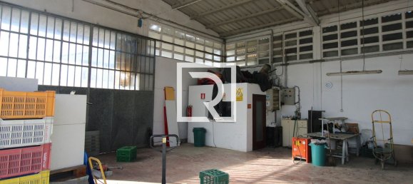290m² Warehouse in Savignano sul Rubicone, Italy No. 220142 5