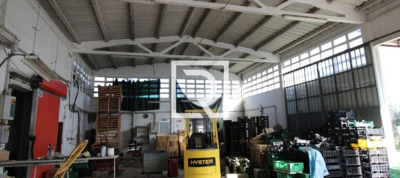 290m² Warehouse in Savignano sul Rubicone, Italy No. 220142 8