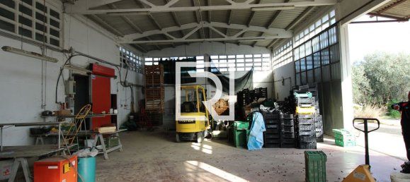 290m² Warehouse in Savignano sul Rubicone, Italy No. 220142 6