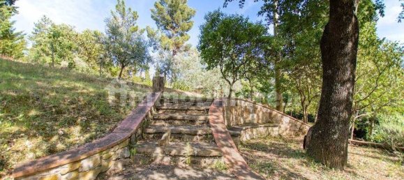 3 Schlafzimmer Villa in Greve in Chianti, Italy, Nr. 197216 2