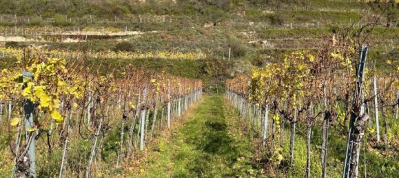  قطعة أرض في Krems an der Donau, Austria رقم 134163 2