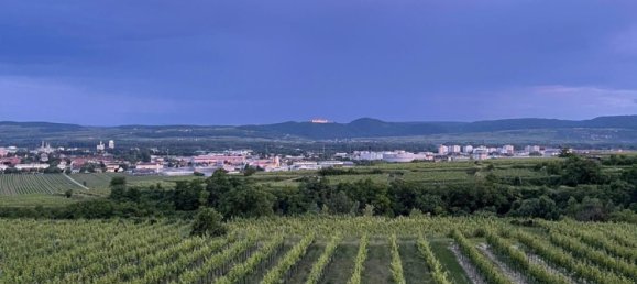  قطعة أرض في Krems an der Donau, Austria رقم 134163 3