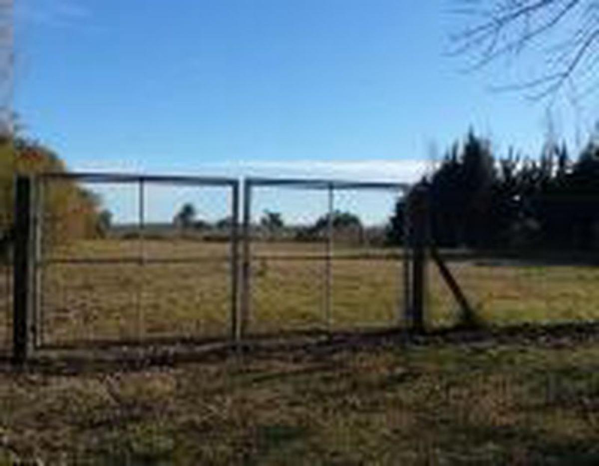 Terreno en Tigre, Argentina No. 113696