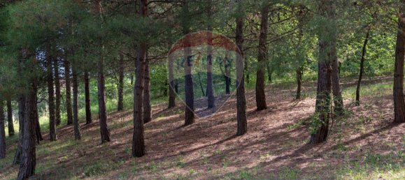 Casa de 13 habitaciónes en Ostra, Italy No. 2259 28