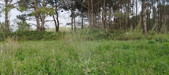 2 bedrooms House in Atouguia da Baleia, Portugal No. 29905 3