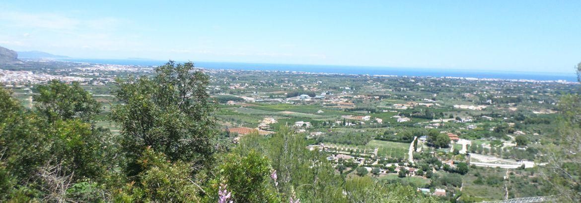 Terreno en Pedreguer, Spain 990 m² No. 212372