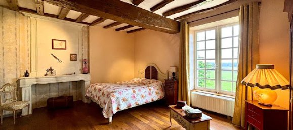 16 bedrooms Castles in Chinon, France No. 326228 9