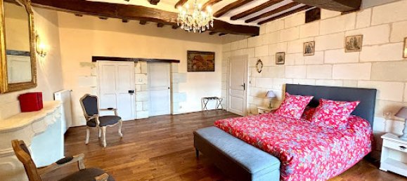 16 bedrooms Castles in Chinon, France No. 326228 12