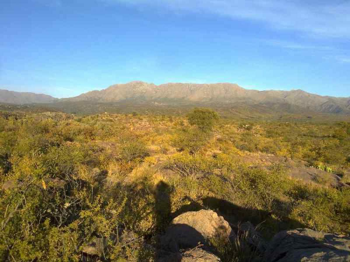 Gewerbliche Immobilie in Cordoba, Argentina, Nr. 23319