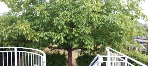 2 Schlafzimmer Haus in Vorpommern-Greifswald, Germany, Nr. 218857 10