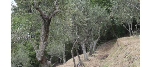 2 Schlafzimmer Haus in Buti, Italy, Nr. 255090 4