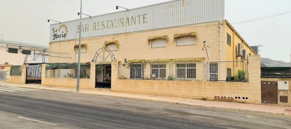 Gewerbliche Immobilie in Salinas, Spain 1104m², Nr. 97430 3