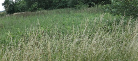 Casa de 100 divisões em Demmin, Germany N.º 222911 28