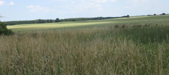 Casa de 100 divisões em Demmin, Germany N.º 222911 36