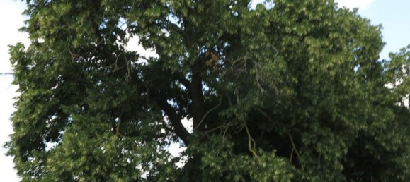 Casa de 100 divisões em Demmin, Germany N.º 222911 35