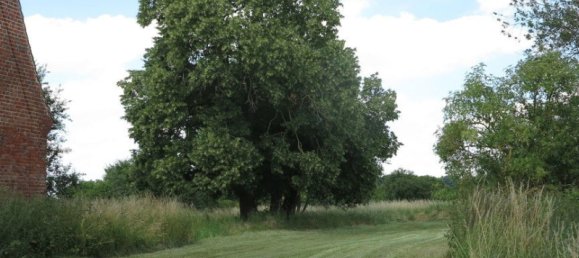 Casa de 100 divisões em Demmin, Germany N.º 222911 38