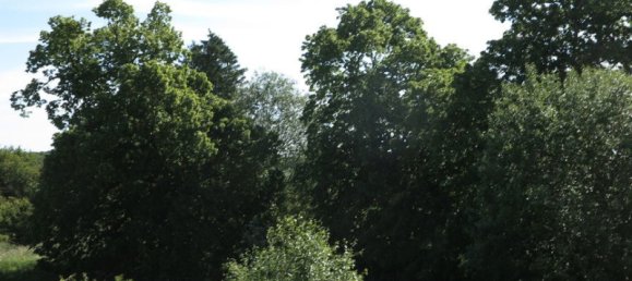 Casa de 100 divisões em Demmin, Germany N.º 222911 23