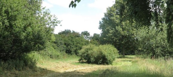 Casa de 100 divisões em Demmin, Germany N.º 222911 40