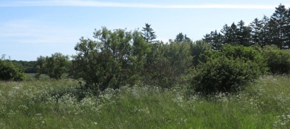 Casa de 100 divisões em Demmin, Germany N.º 222911 21