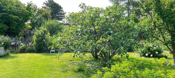 Grundstück in Wien, Austria, Nr. 136747 3