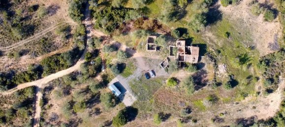 9 bedrooms House in Santa Catarina da Fonte do Bispo, Portugal No. 67728 12