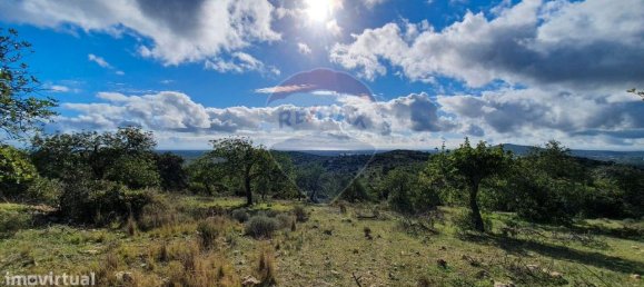 9 bedrooms House in Santa Catarina da Fonte do Bispo, Portugal No. 67728 3