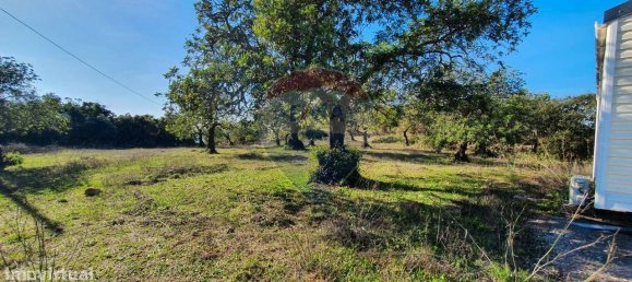 9 bedrooms House in Santa Catarina da Fonte do Bispo, Portugal No. 67728 11