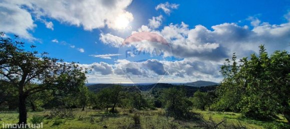 9 bedrooms House in Santa Catarina da Fonte do Bispo, Portugal No. 67728 4