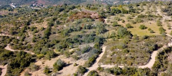 9 bedrooms House in Santa Catarina da Fonte do Bispo, Portugal No. 67728 19