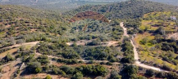 9 bedrooms House in Santa Catarina da Fonte do Bispo, Portugal No. 67728 15